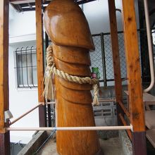 けろ子が隣にいます