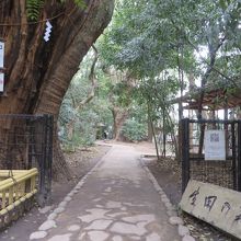 生田の森の入口