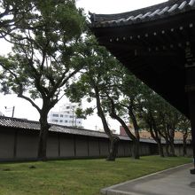 東寺の外塀です。