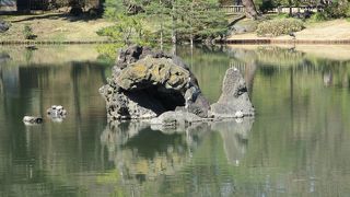 大泉水に浮かんでいます