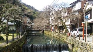 木屋町通り～もしかしたら…城崎温泉の桜の名所かも…～