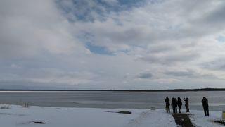 冬は白鳥がいなかった・・・