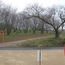 粟嶋神社の縁結び参道