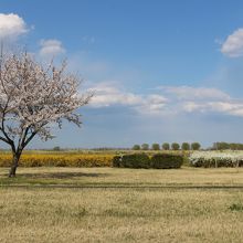 少し北海道のような所も