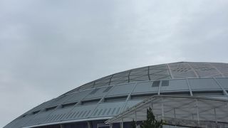 野球だけじゃない