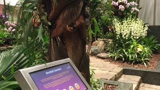 広かったです！