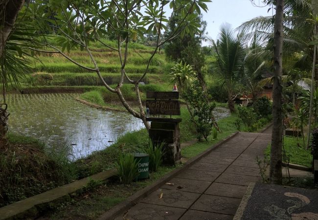 誰も人がいませんでした。