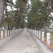 法隆寺の参道　並松と呼ばれる松の老木のトンネル