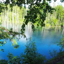 きれいな青色です！