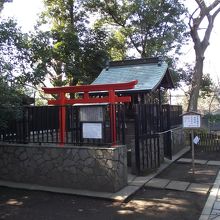 小ぢんまりしています