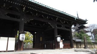 東寺の河津桜 ♪