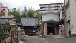 見所は・・・無いですね