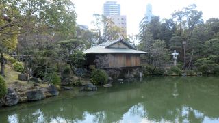 心を洗い、茶を楽しむ