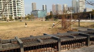 「ただ広いだけ」のように見える公園…だからこそ貴重なのかもしれません。