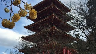 のんびりとお散歩。お花も楽しめます！