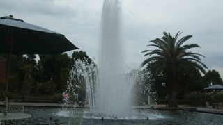 フィールドアスレチックもあり子どもも楽しめる