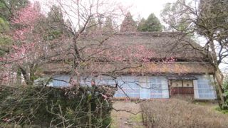 散村農家の住宅