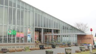 一年中チューリップが咲いているところ