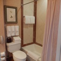 シャワーは固定式