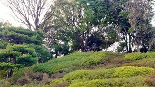 六義園を一望できます