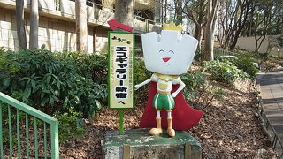 様々なイベントが開催されています