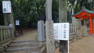 いにしえの香りのする森。