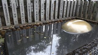 形がちょっとユニーク。