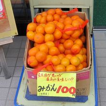 1袋100円だった地元産のミカン。美味しかったです。