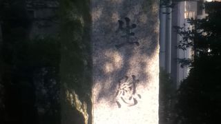 田安門の南側に石段がある