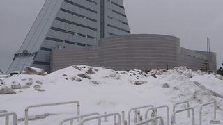 外観は印象的ですが、お土産屋さんという感じです。