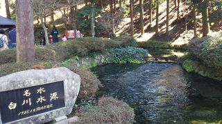 とても高い透明度の湧き水を見れます