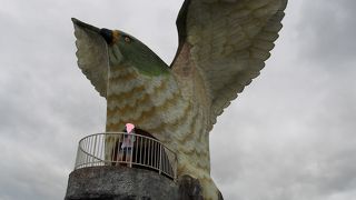 巨大なサシバが迫力満点