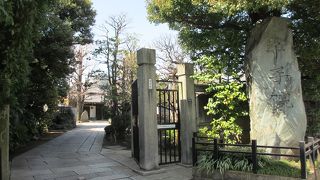 色々な花が咲いていました