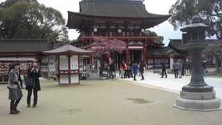 見事なデザイン