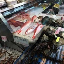 色取りどりの魚。