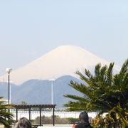 茅ヶ崎の柳島海岸です