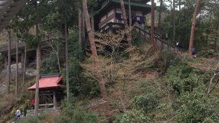 夏なら水遊びに最高だと思います。