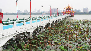 湖に浮かぶ姿が美しい！！！