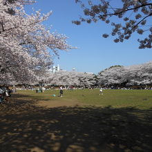 奥の方には遊具も少しあります。