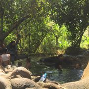 ジャングルの中の天然温泉