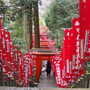 稲荷神社ですからキツネがいっぱい。