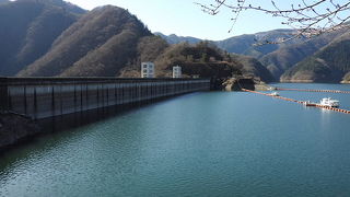 小河内ダムでバードウォッチング