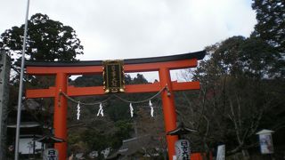 自然が多い境内