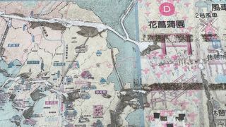 道の駅 しんあさひ風車村