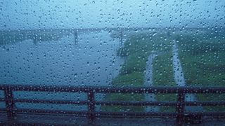 四万十川の鰻は高く諦めました