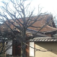 立派な玄関や本堂があります。