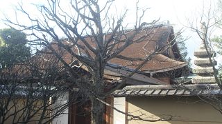 大好きな和尚さまに再会できました～