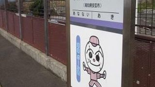 安芸ドームの真ん前 ♪