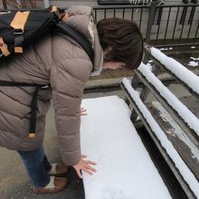 早朝積もった雪が――