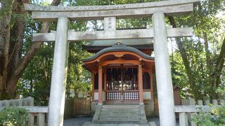 厄はらいのご利益